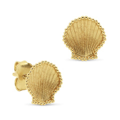 CLAM SHELL EARRINGS IN 18K YELLOW GOLD