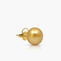 14.4 MM - SEMI-ROUND GOLD SOUTH SEA PEARL LADIES STUD EARRINGS IN 14K YELLOW GOLD