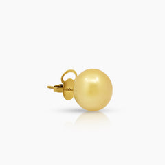 SEMI-ROUND GOLD SOUTH SEA PEARL LADIES STUD EARRINGS IN 14K YELLOW GOLD