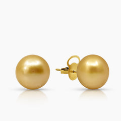 14.4 MM - SEMI-ROUND GOLD SOUTH SEA PEARL LADIES STUD EARRINGS IN 14K YELLOW GOLD