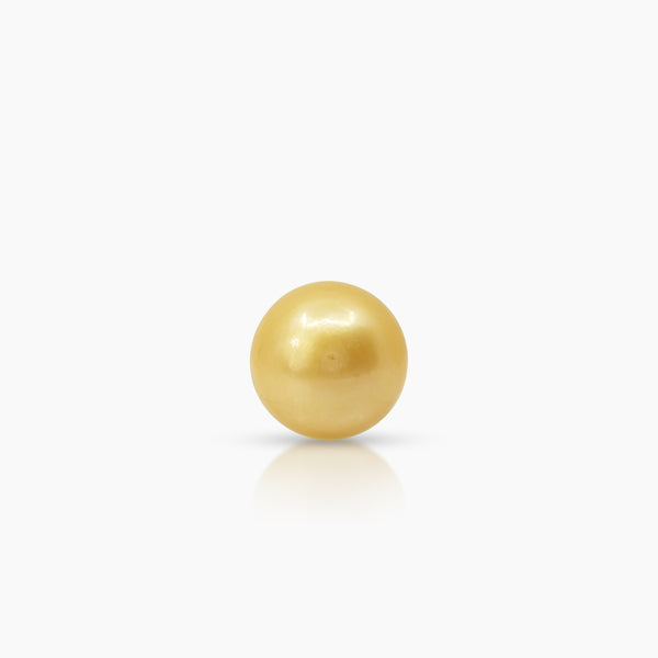 SEMI-ROUND GOLD SOUTH SEA PEARL LADIES STUD EARRINGS IN 14K YELLOW GOLD