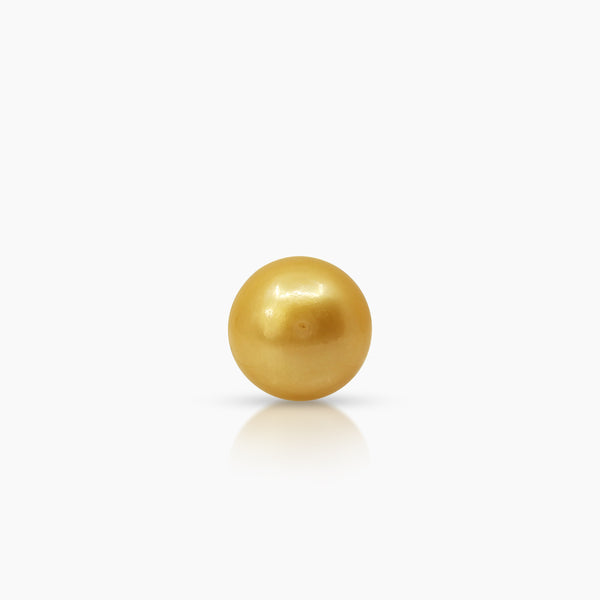 SEMI-ROUND GOLD SOUTH SEA PEARL LADIES STUD EARRINGS IN 14K YELLOW GOLD