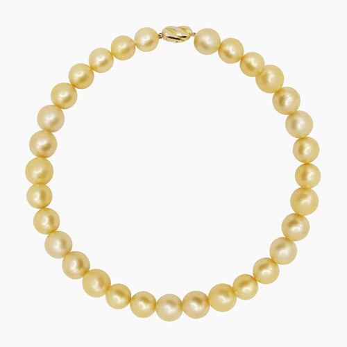 ROUND GOLD SOUTH SEA PEARL LADIES NECKLACE / CHOKER