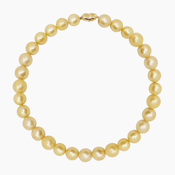 ROUND GOLD SOUTH SEA PEARL LADIES NECKLACE / CHOKER