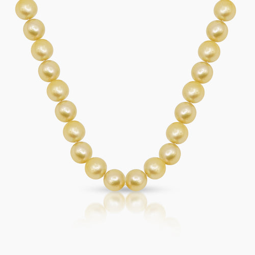 ROUND GOLD SOUTH SEA PEARL LADIES NECKLACE / CHOKER