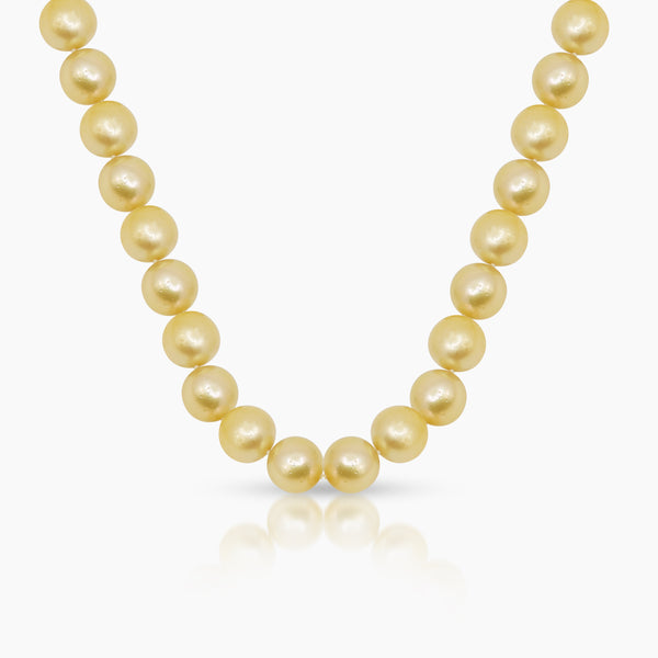 ROUND GOLD SOUTH SEA PEARL LADIES NECKLACE / CHOKER