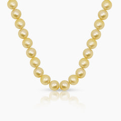 ROUND GOLD SOUTH SEA PEARL LADIES NECKLACE / CHOKER