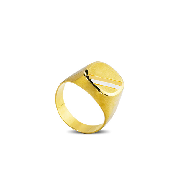 OVAL SIGNET MEN'S RING IN 18K