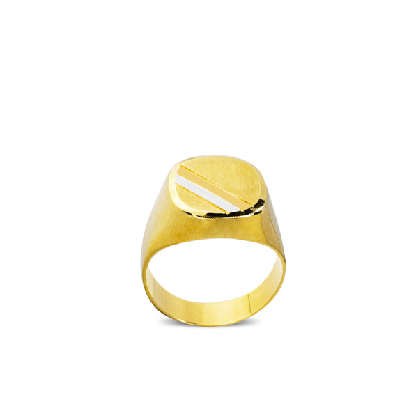 OVAL SIGNET MEN'S RING IN 18K