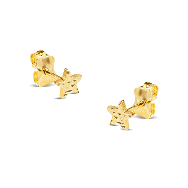 TEXTURED STAR EARRING IN 14K YG